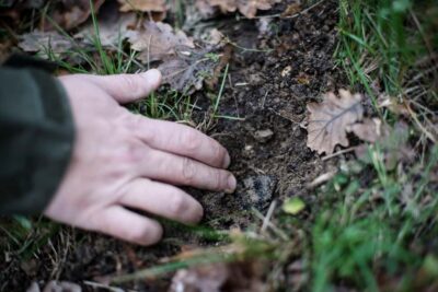 From location: Truffle farm visit, culinary workshop, meal - The 45-minute visit at Maison de Garniac