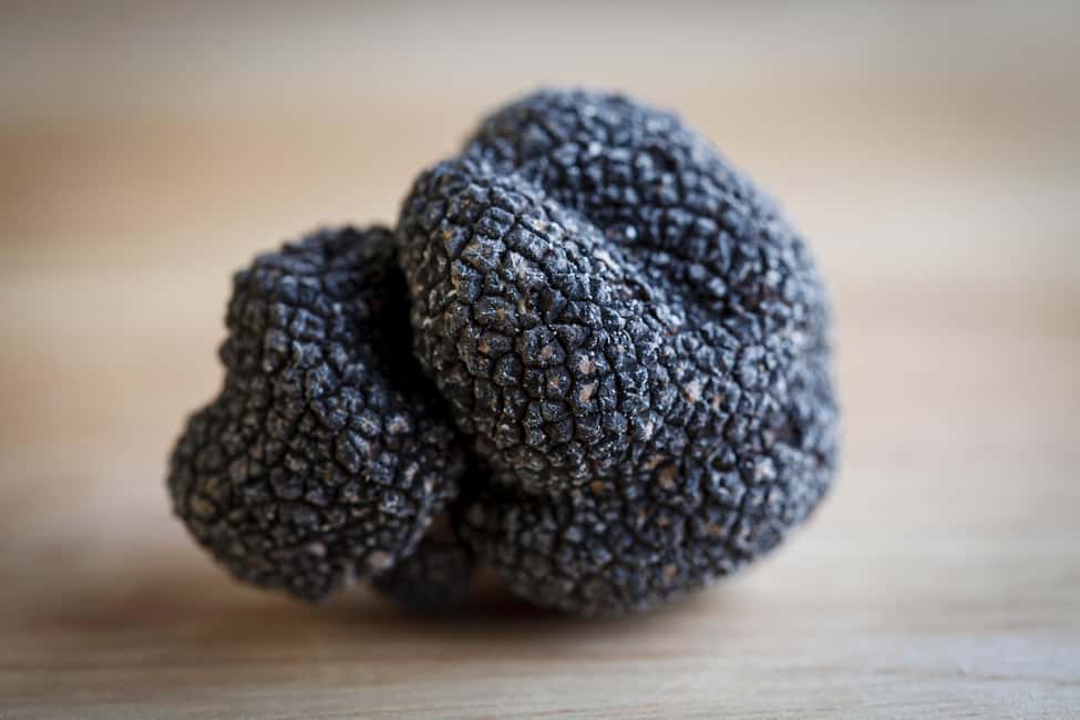 From location: Truffle farm visit, culinary workshop, meal - Who will enjoy this most