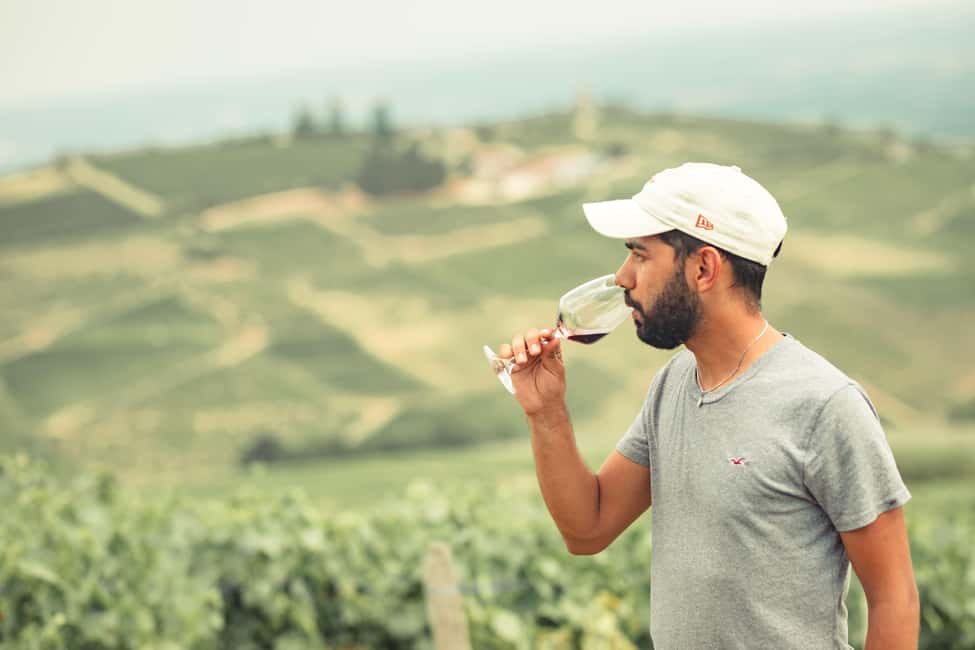 From Lyon : Beaujolais Private Day Tour by Vintage Defender - Juliénas brings another cru into the picture