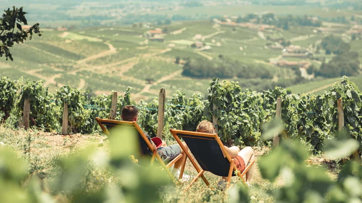 From Lyon : Beaujolais Private Day Tour by Vintage Defender - What the insider adds to the winery visits