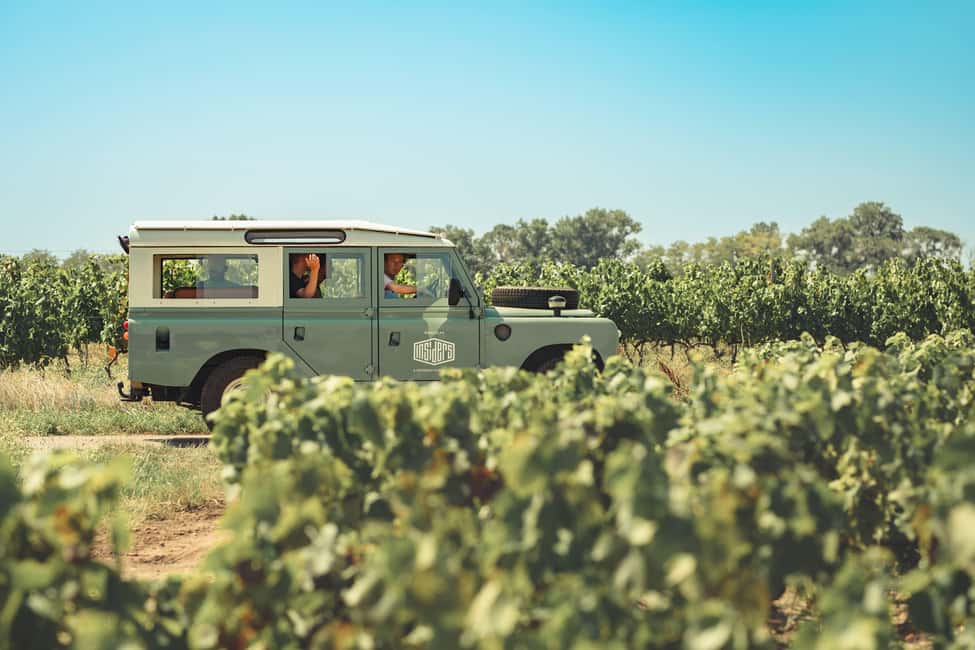From Lyon : Beaujolais Private Day Tour by Vintage Defender - The scenery is best enjoyed between stops