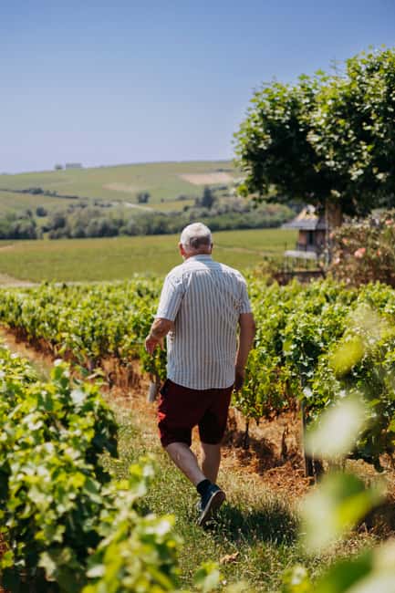 From Lyon: Beaujolais Wine Route Half-Day Tour - Guides, Group Size, and the Personal Touch You Actually Feel
