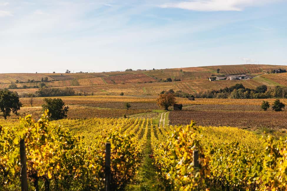 From Lyon: Beaujolais Wine Tour with Tastings - Why Beaujolais fits perfectly into a Lyon itinerary