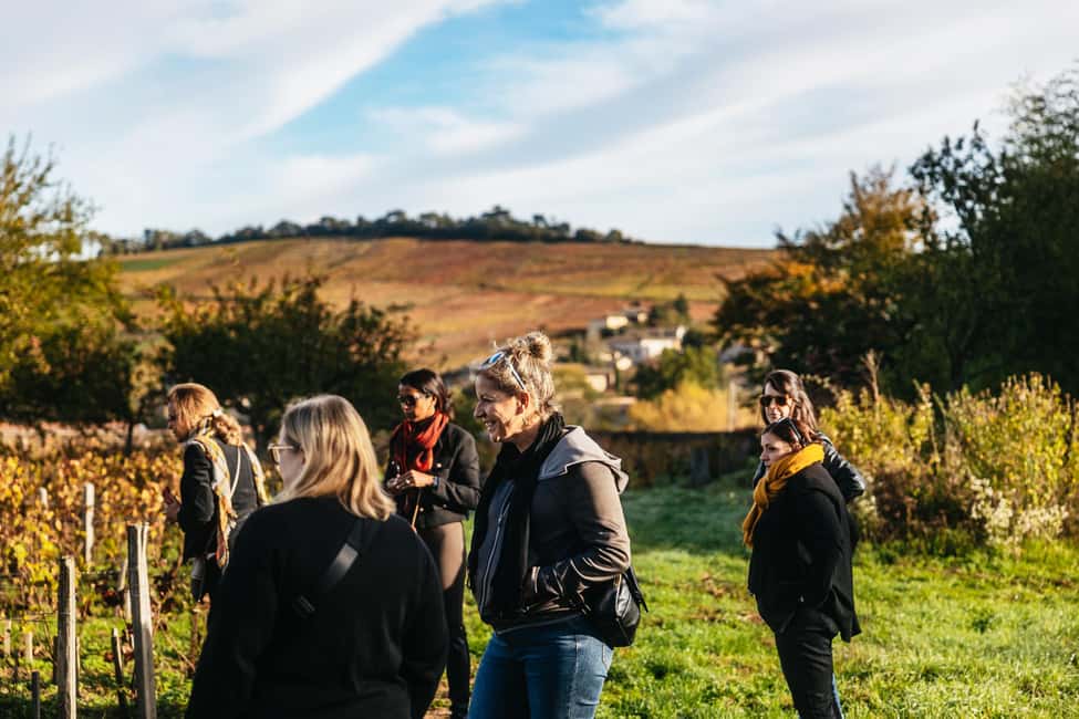 From Lyon: Beaujolais Wine Tour with Tastings - Winery stop two: contrasting styles and more Gamay variety
