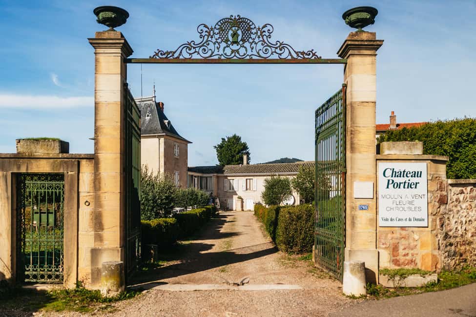 From Lyon: Beaujolais Wine Tour with Tastings - Meeting the winemaker: why face time changes everything