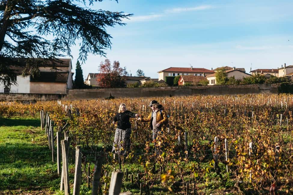 From Lyon: Beaujolais Wine Tour with Tastings - Price and value: is $116 a good deal?