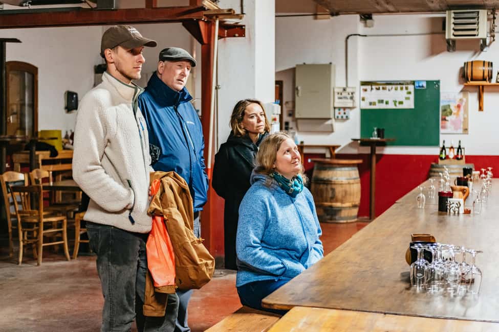 From Lyon: Golden Stones Beaujolais Wine Tasting Tour - Price and value: is $116 a fair deal for this half-day?
