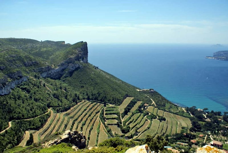 From Marseille: Cassis 4 hours - Key points to know before booking