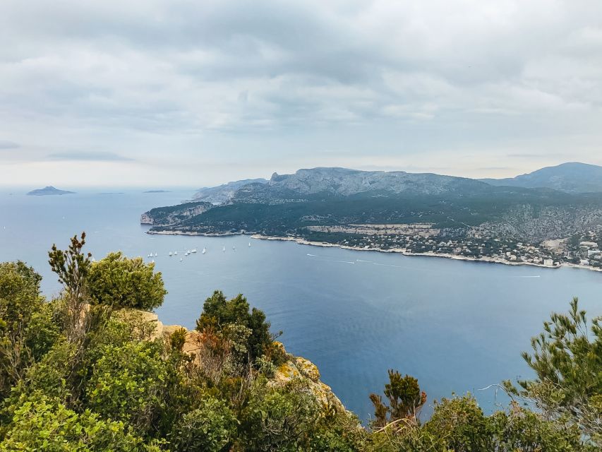 From Marseille: Cassis & Aix-en-Provence Full-Day Tour - Driver-Guide Style That Makes the Day Worth It