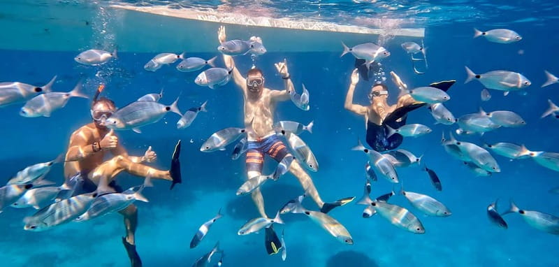From Marseille: Iconic Calanques Boat Tour with Swimming - Key things I’d bet on