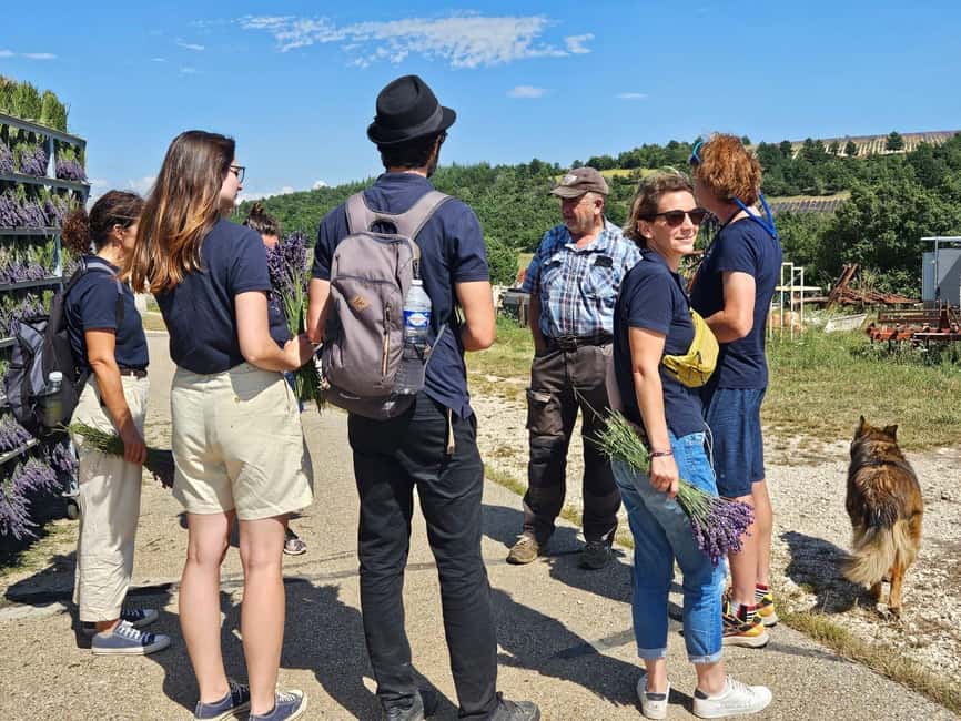 From Marseille: Lavender Full-Day Trip to Sault - Abbaye de Senanque Photo Stop: Timing and Respectful Viewing