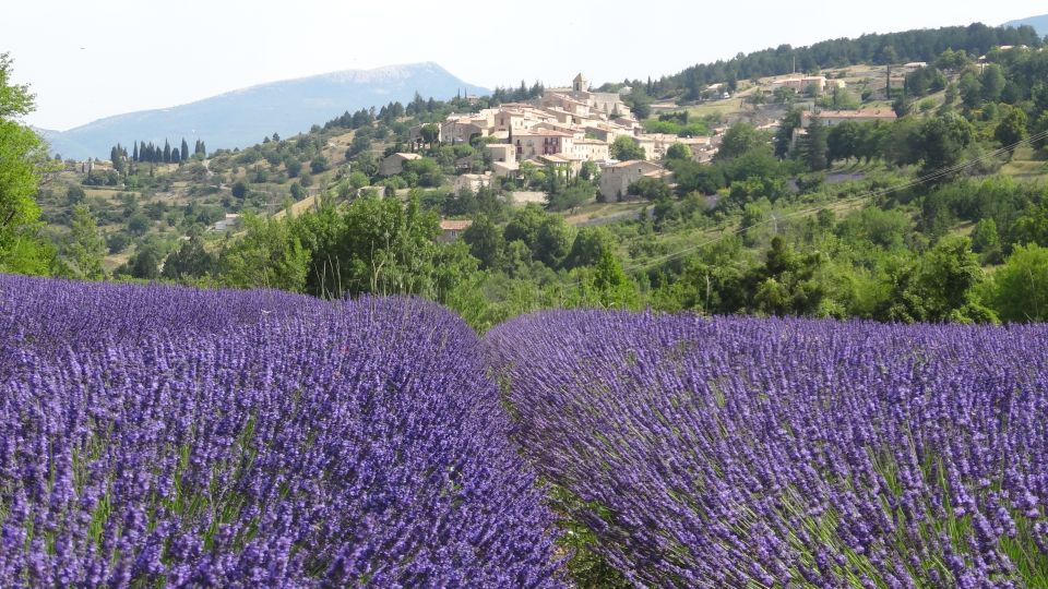 From Marseille: Lavender Full-Day Trip to Sault - Marseille Pickup to A/C Comfort: The Start Matters