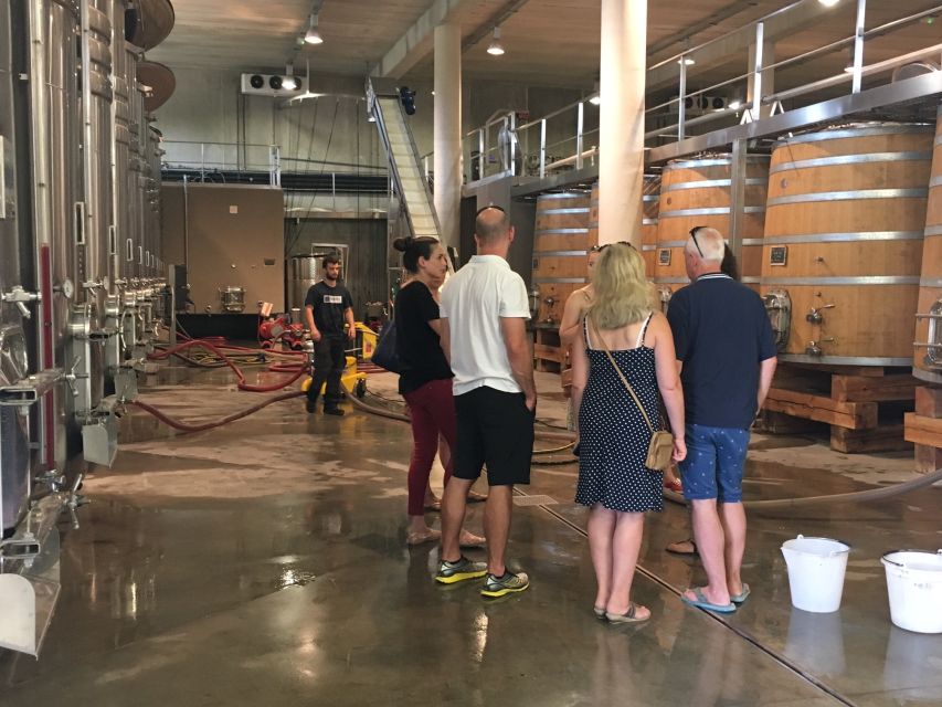 From Montpellier: Half-Day Vineyard & Pic Saint-Loup Tour - Inside the vineyard visit: what the guides actually teach