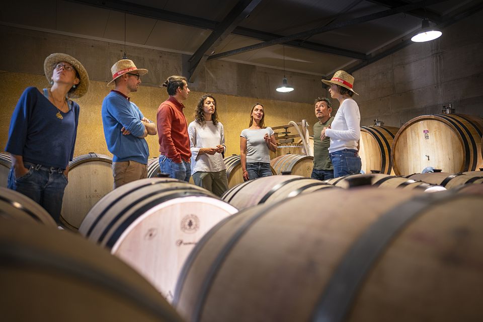 From Montpellier: Half-Day Vineyard & Pic Saint-Loup Tour - Transport and timing: the rhythm from Montpellier to the estates