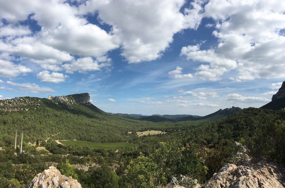 From Montpellier: Half-Day Vineyard & Pic Saint-Loup Tour - Wine value at $93: what you’re really paying for