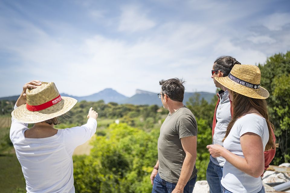 From Montpellier: Half-Day Vineyard & Pic Saint-Loup Tour - Practical notes before you go