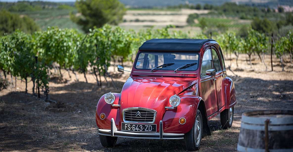 From Montpellier: Winery Tour in a Vintage Citroën 2CV - Key points at a glance
