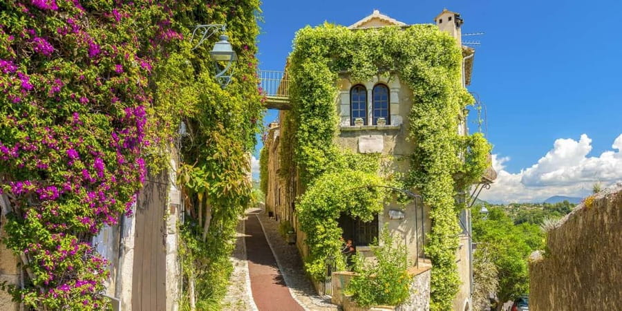From Nice: Cannes, Saint Paul de Vence and Wine Tasting - Antibes: the market, fortifications, and yacht harbor atmosphere