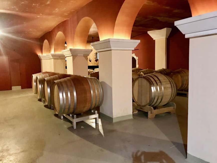 From Nice: Cannes, Saint Paul de Vence and Wine Tasting - Chateau Cremat: guided interiors, vineyards, and a tasting you can actually enjoy