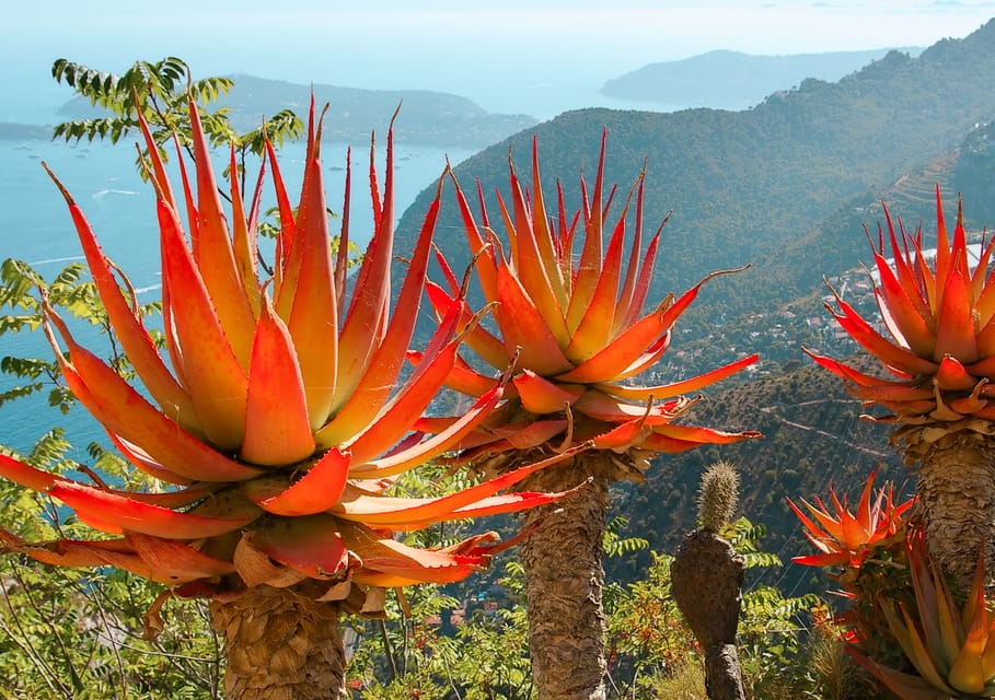 From Nice: Eze, Monaco, and Monte Carlo Half-Day Trip - Who should book this tour (and who should skip it)
