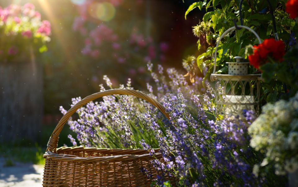 From Nice: Flower Fields & Saint Cassien Lake Full-Day Trip - Why this Nice day trip works so well