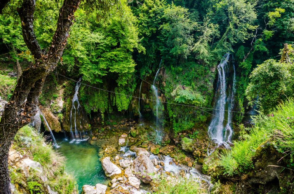 From Nice: Flower Fields & Saint Cassien Lake Full-Day Trip - Lavanderaie de Marie, a garden for the senses