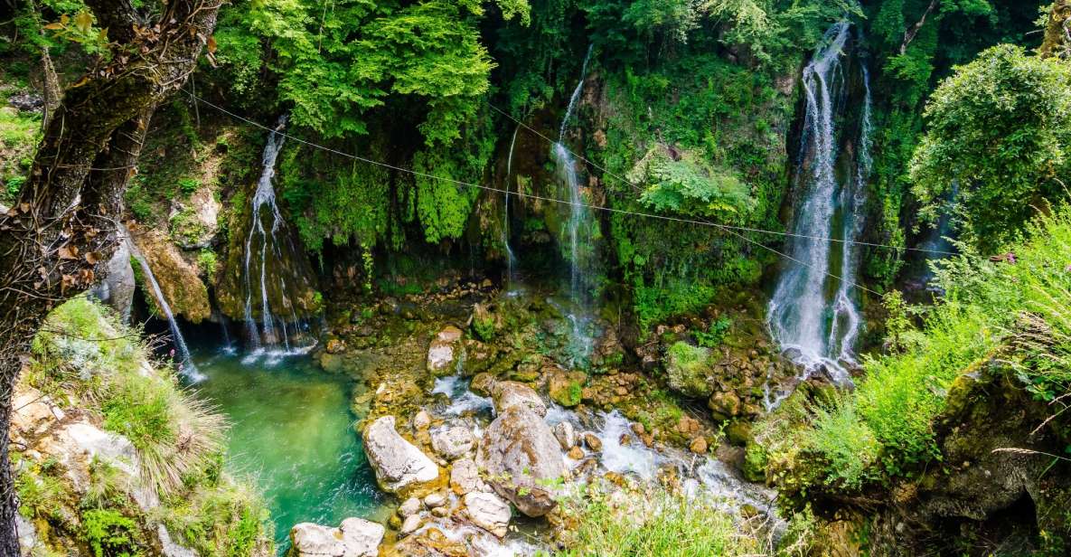 From Nice: Flower Fields & Saint Cassien Lake Full-Day Trip - Your guide and the feel of the drive
