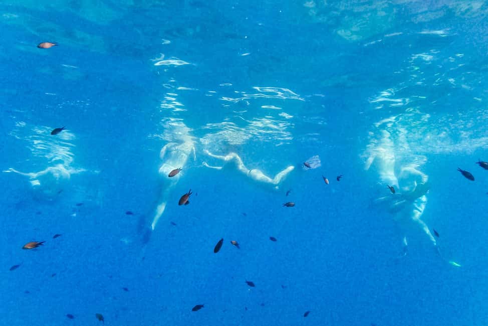 From Nice: French Riviera Swimming and Snorkeling Cruise - Saint-Jean-Cap-Ferrat and Villefranche Bay: The Water Stop That Makes the Tour