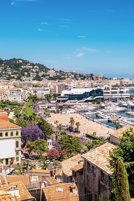 From Nice: Full-Day Best of the Riviera - Guide style and languages: how to get the most out of a packed route