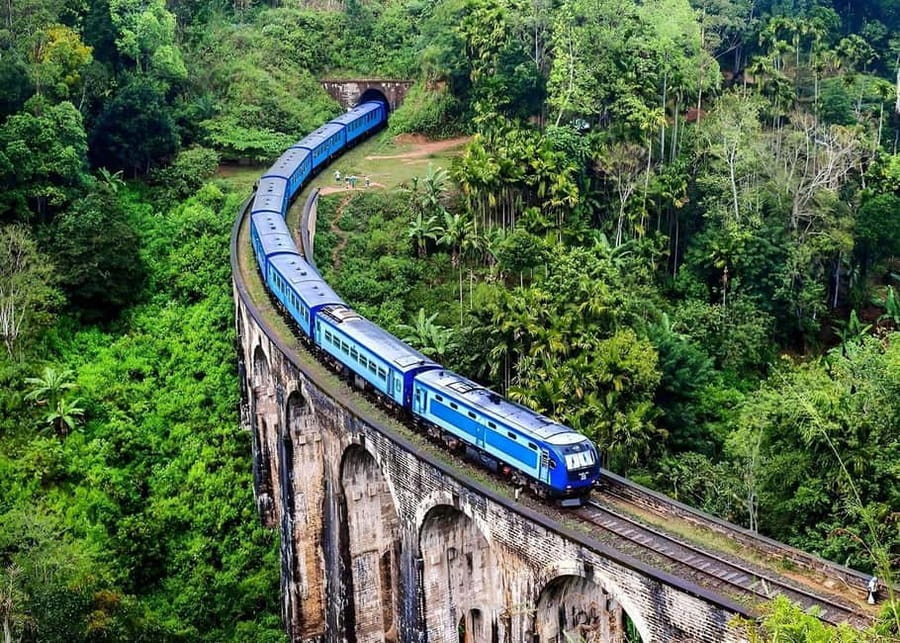 From Nice: Historic Train Ride & Alps Villages - The historic train ride: tunnels, viaducts, and big alpine river views