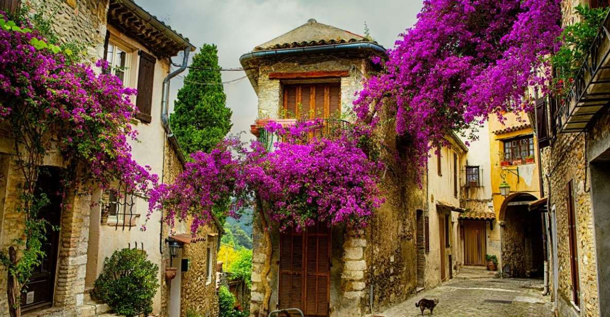 From Nice: Provence and its Medieval Villages Full-Day Tour - Key things that make this tour worth your time