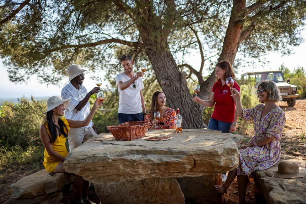 From Nice: Provence Wine Full-Day Tour - From Nice into Côtes de Provence: why this route feels so different