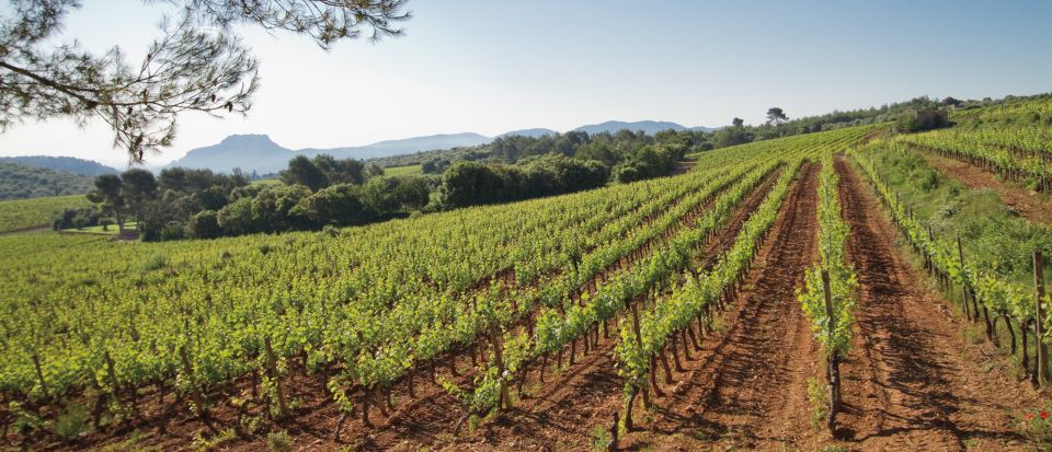 From Nice: Provence Wine Full-Day Tour - First stop: a 2,000-year-old-history château and a cellar tour