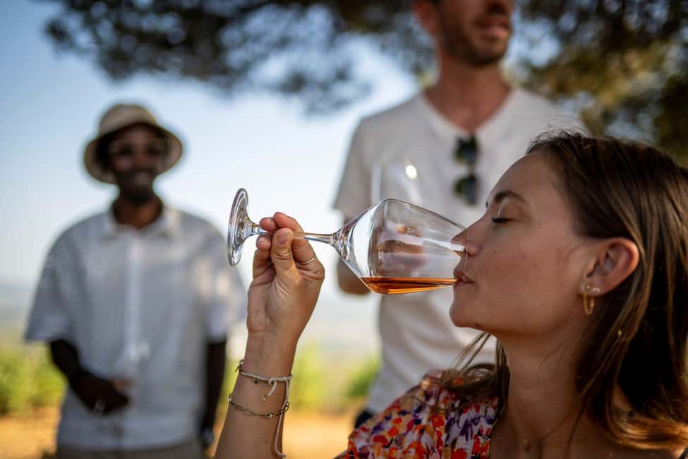 From Nice: Provence Wine Full-Day Tour - Your mini-masterclass: how to taste Provence wine like a pro