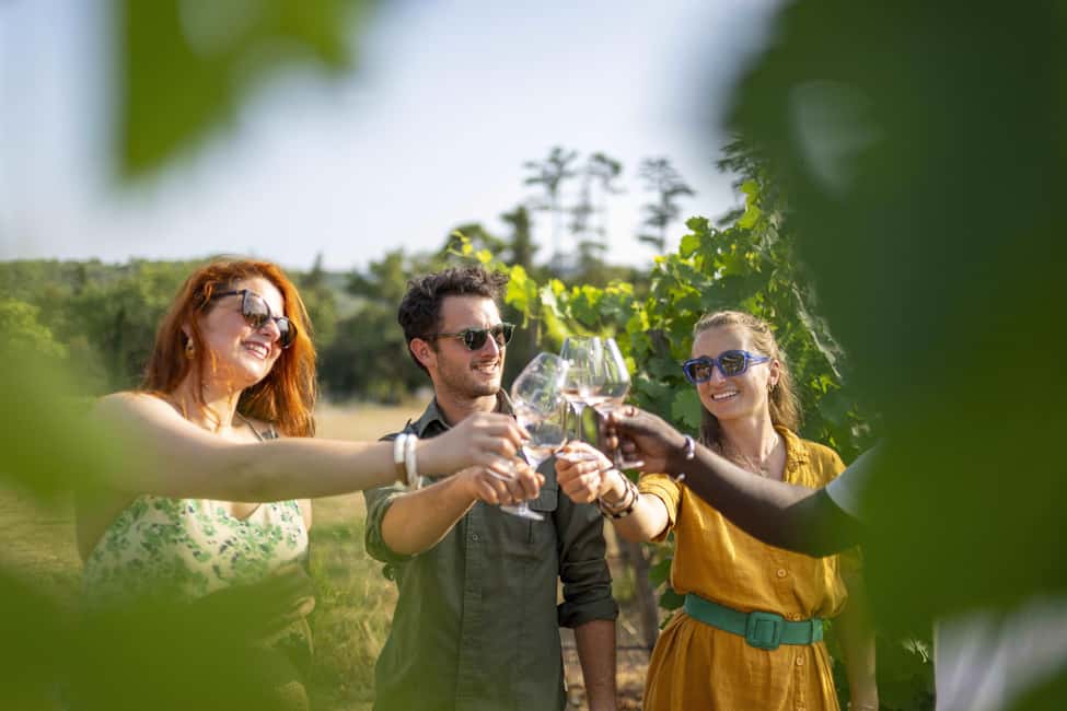 From Nice: Provence Wine Full-Day Tour - Lunch in a Provençal medieval village: what to budget and what to expect