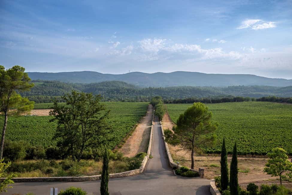 From Nice: Provence Wine Full-Day Tour - Second vineyard on the terrace: four generations, artist support, and vine life