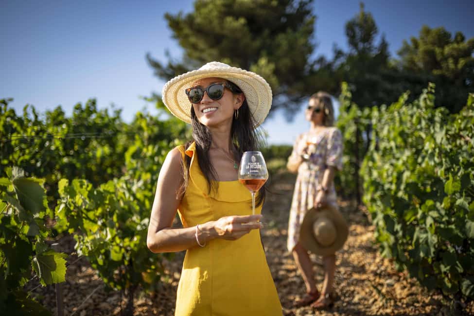 From Nice: Provence Wine Full-Day Tour - What the tasting volume really means (and how to enjoy it)