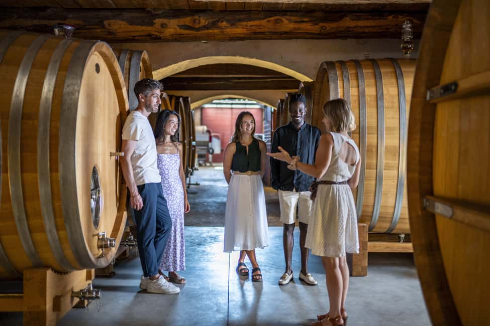 From Nice: Provence Wine Full-Day Tour - 9:30 departure from Hotel Beau Rivage and the AC van advantage