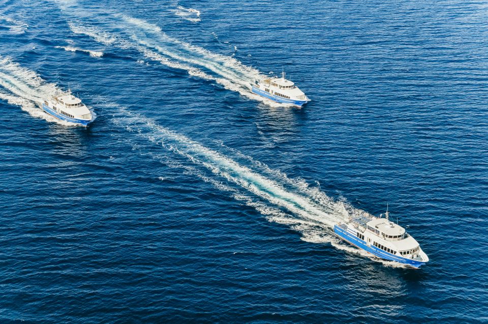 From Nice: Round-Trip Transportation to Saint Tropez by Boat - St. Tropez arrival and the best way to plan your afternoon