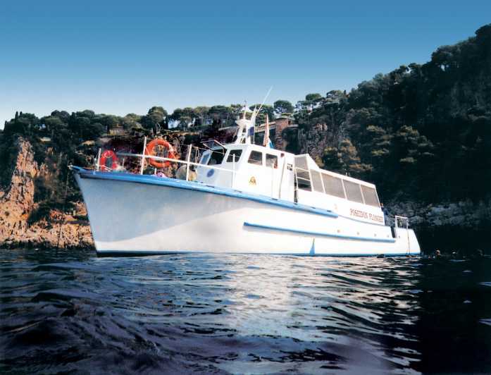 From Nice: Villefranche Bay Swimming & Snorkeling Boat Tour - Cruising the Riviera: what the boat time is really for