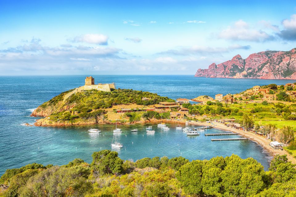 From Ota: Scandola Nature Reserve Eco-Friendly Boat Tour - Wildlife spotting: sea eagles and falcons without crowding