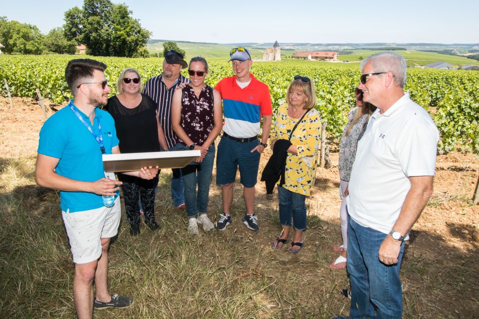 From Paris: Burgundy Region Winery Tour with Tastings - The Chablis lunch break: your one real breathing moment