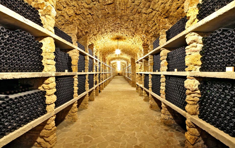 From Paris: Burgundy Region Winery Tour with Tastings - The guides: why personalities matter on a tasting day