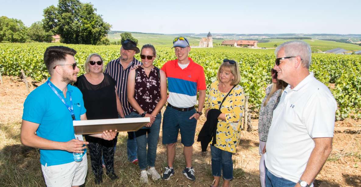 From Paris: Burgundy Region Winery Tour with Tastings - Domaine Jean-Marc Brocard: start with Chablis terroir, not just glasses