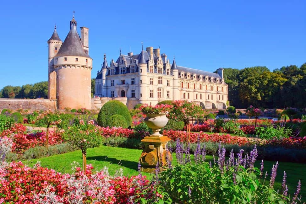 From Paris: Loire Valley Castles Day Trip With Wine Tasting - Loire Valley in one long day: what 13 hours really means
