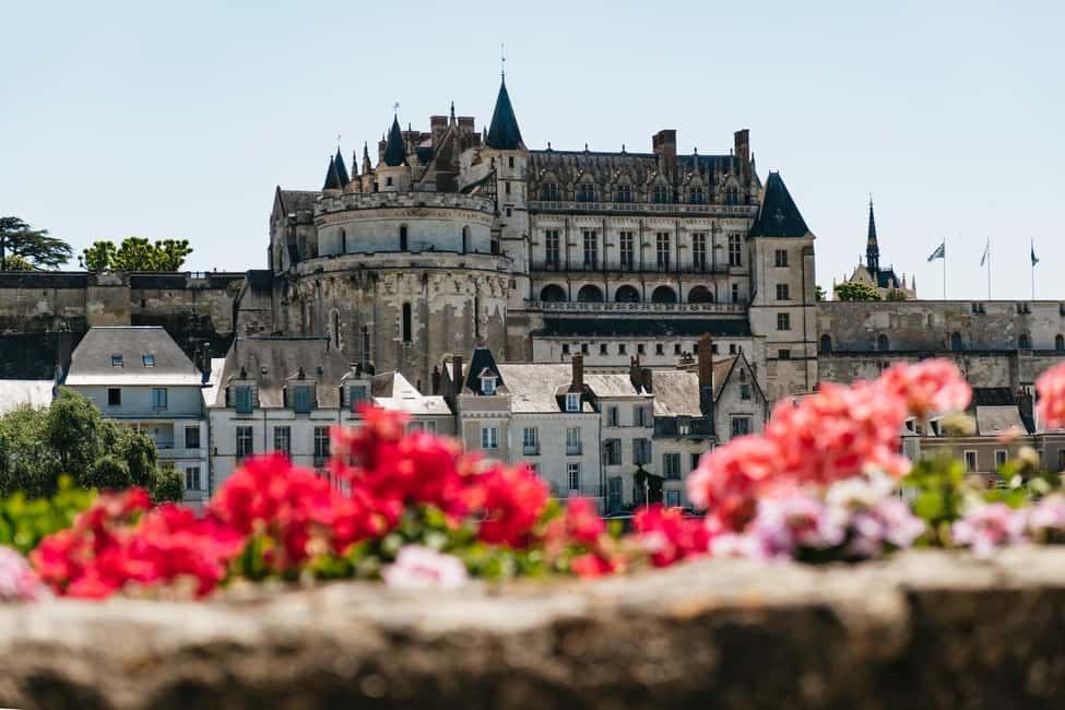 From Paris: Loire Valley Chambord Castle and Wine Tasting - A family-run winery and Loire wine tasting
