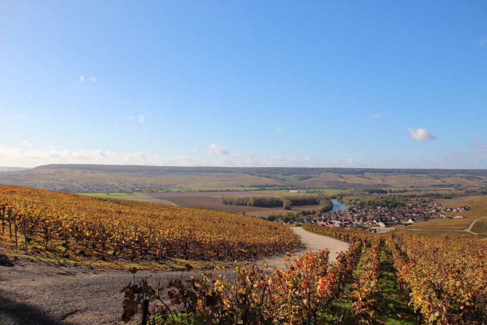 From Paris: Prestige Champagne Tour and Tastings - A château lunch with wine pairing