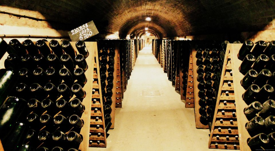 From Paris: Prestige Champagne Tour and Tastings - The quieter side of Champagne at a boutique producer