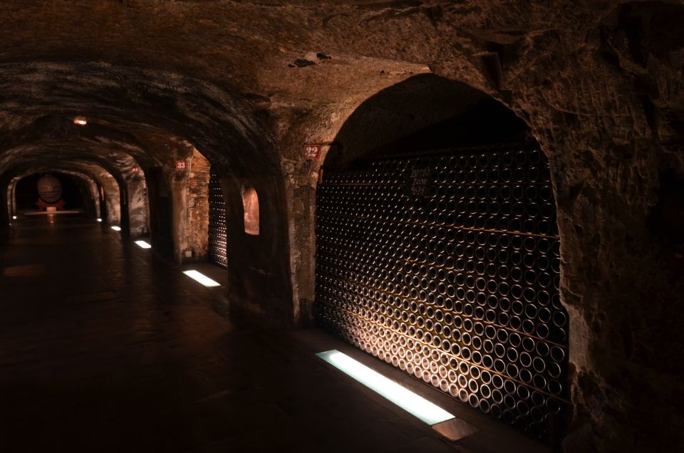 From Paris: Prestige Champagne Tour and Tastings - What the private format adds