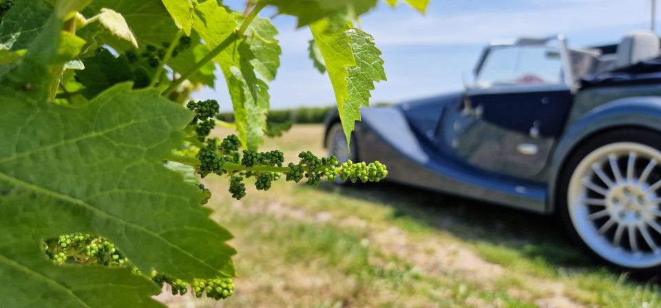From Paris: Prestige Champagne Tour and Tastings - Practical details before you reserve